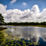 Florida Blogs - Plan Your Trip to Grayton Beach State Park - Featured