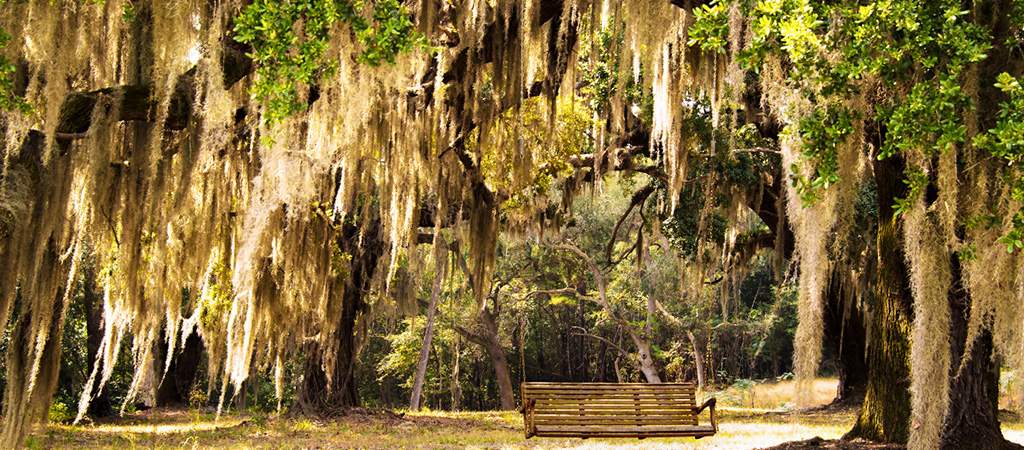 Florida Blogs - Discover Eden Garden's State Park Florida's Hidden Gem - Banner