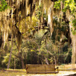 Florida Blogs - Discover Eden Garden's State Park Florida's Hidden Gem - Featured