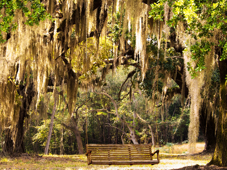 Florida Blogs - Discover Eden Garden's State Park Florida's Hidden Gem - Featured