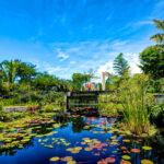 FL Blogs - Top Attractions You Must Visit on Vacation in Florida - Featured