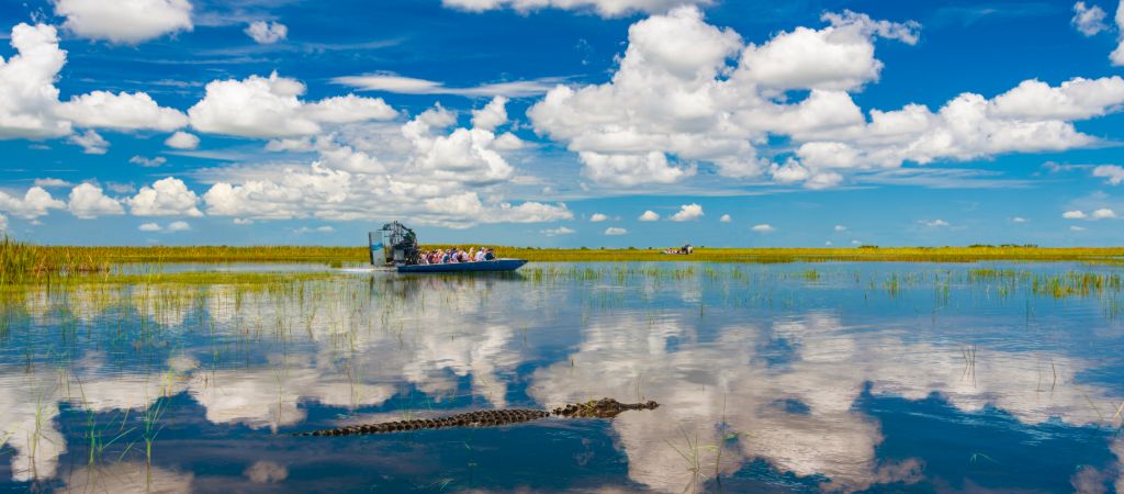 An airboat full of tourists coasts along the Everglades, with an alligator in the foreground and vibrant blue skies and white fluffy clouds reflected in the water's surface.