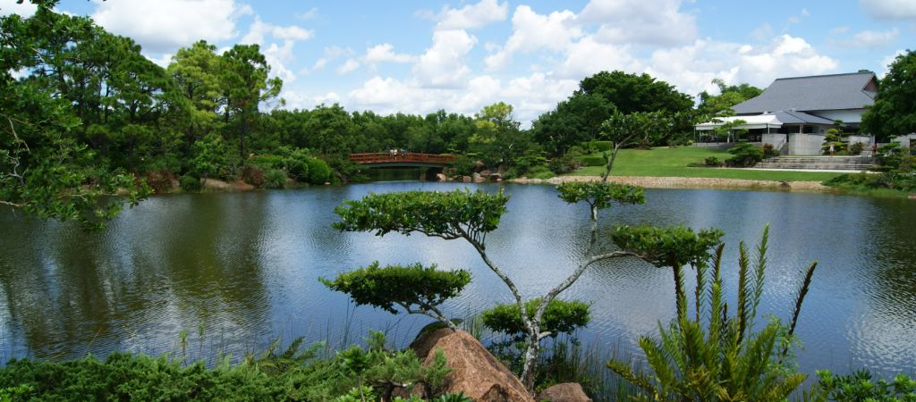 A large bonsai tree overlooks a pond, red Japanese-style bridge, and facilities at Morikami Museum and Japanese Gardens.