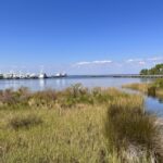 A sunny day at Choctawhatchee Bay shown from the grassy shoreline, with boats in the distance against a bright blue sky.