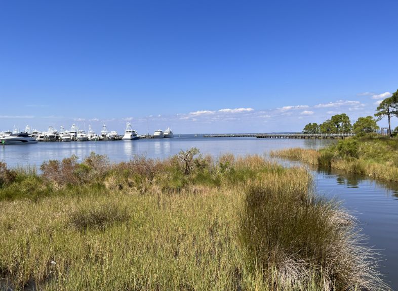 A sunny day at Choctawhatchee Bay shown from the grassy shoreline, with boats in the distance against a bright blue sky.