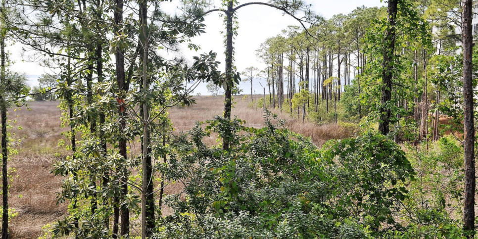 Le Jardin - Exterior