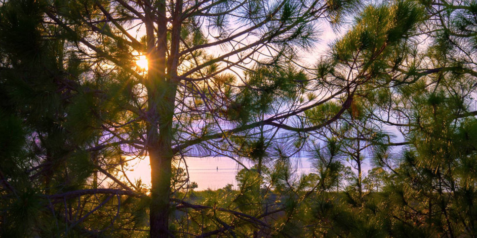 Le Jardin - Exterior