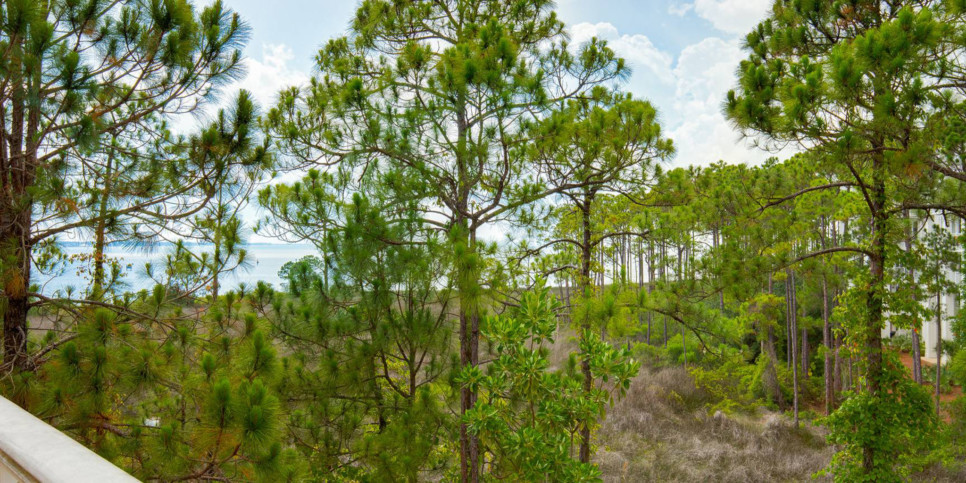 Le Jardin - Exterior