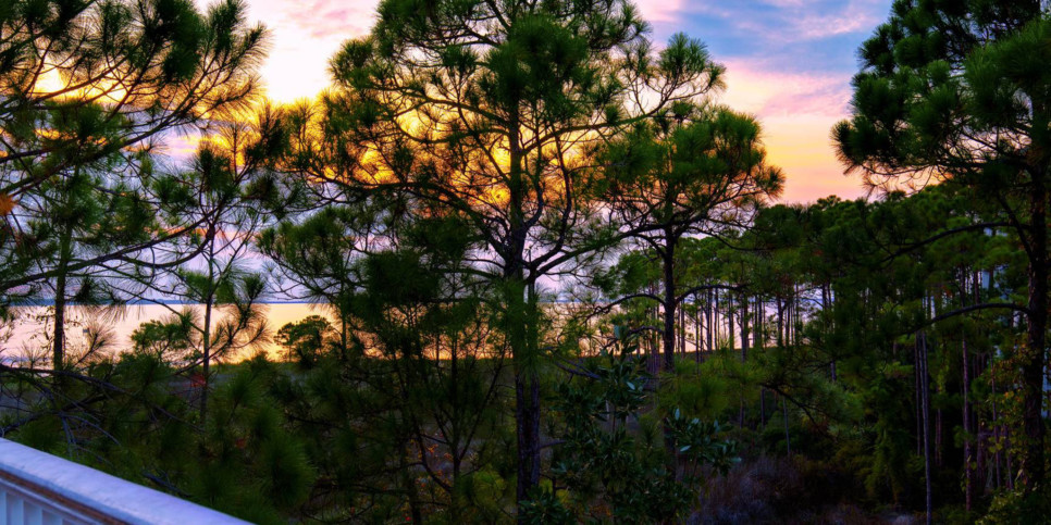 Le Jardin - Exterior